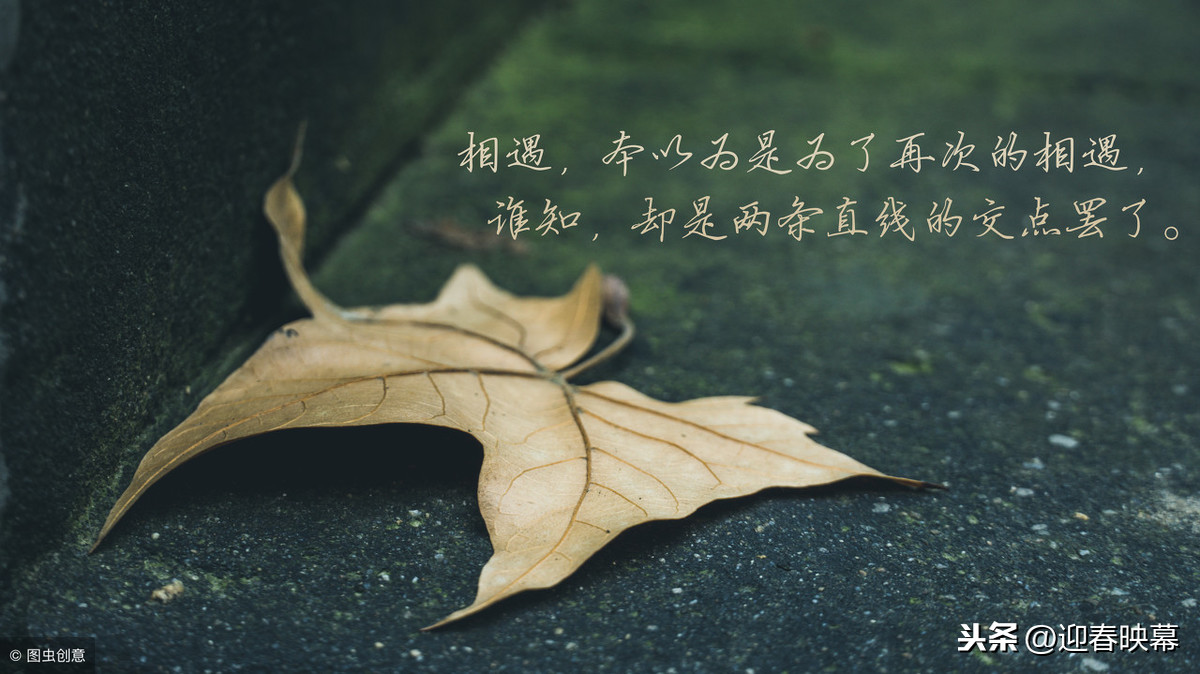 六字情诗绝句伤感（世上最经典的浪漫情诗）