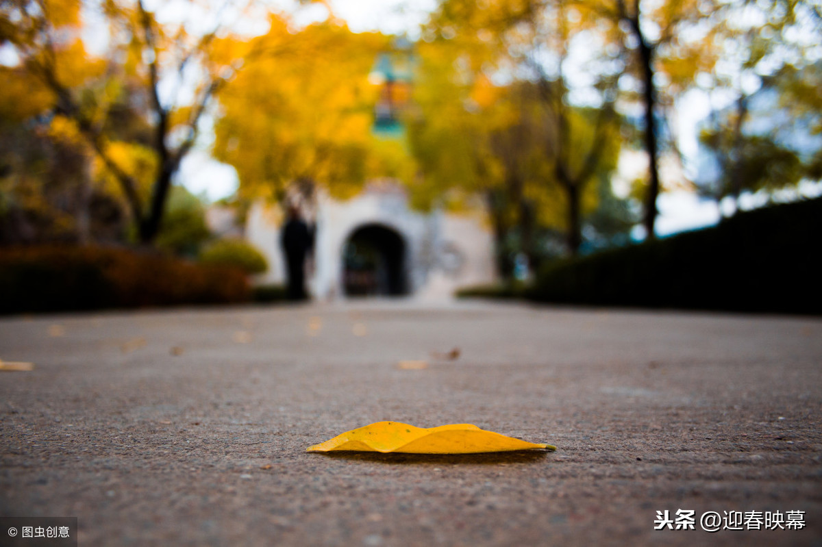 六字情诗绝句伤感（世上最经典的浪漫情诗）