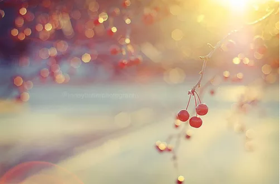 形容时间流逝的句子（时光流逝的高级表达）