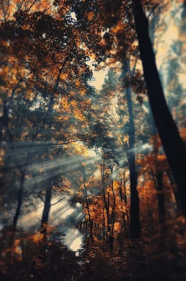 形容时间流逝的句子（时光流逝的高级表达）