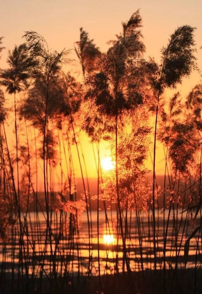 形容时间流逝的句子（时光流逝的高级表达）