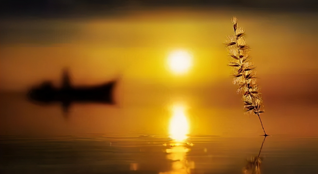 形容时间流逝的句子（时光流逝的高级表达）