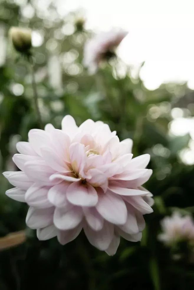 形容时间流逝的句子（时光流逝的高级表达）