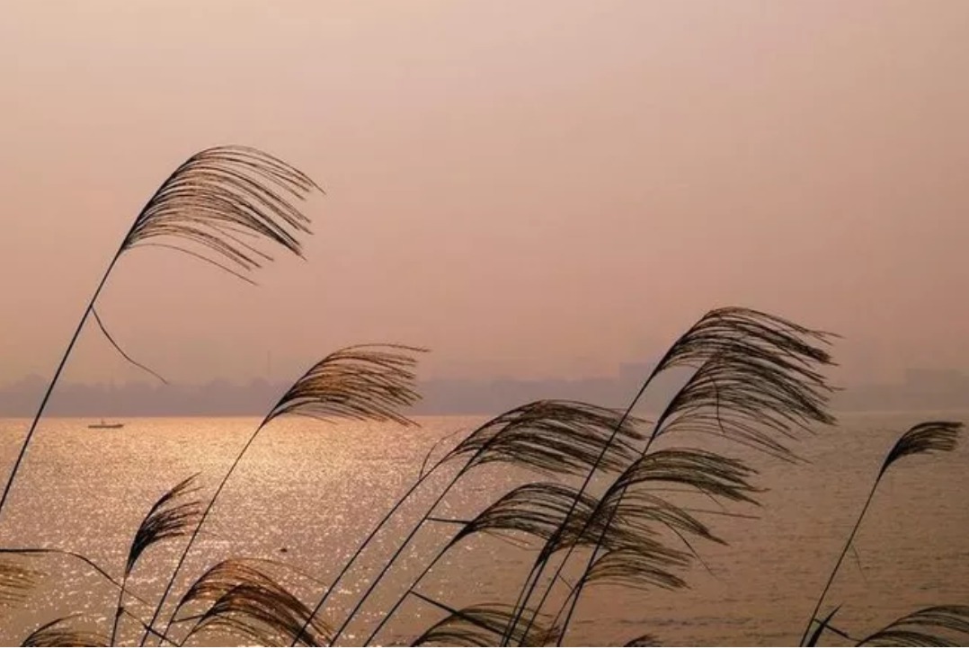 形容时间流逝的句子（时光流逝的高级表达）