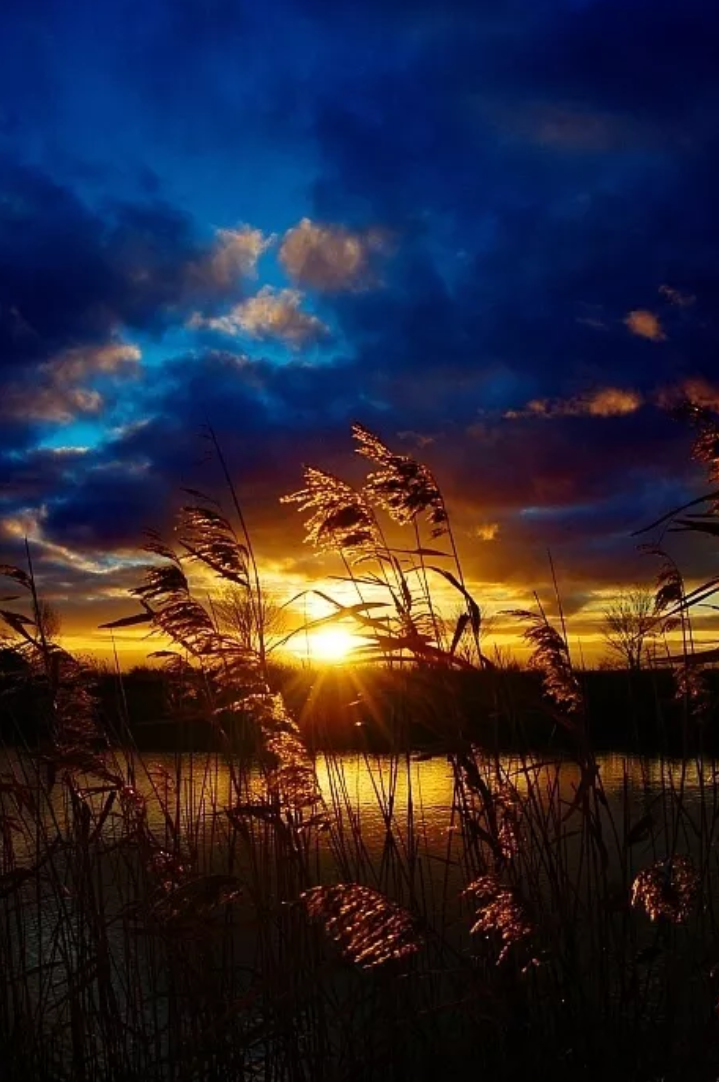 有关思乡的诗句有哪些（表达思乡之情的古诗名句）