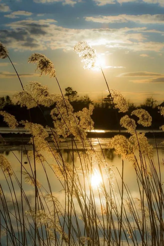 有关思乡的诗句有哪些（表达思乡之情的古诗名句）