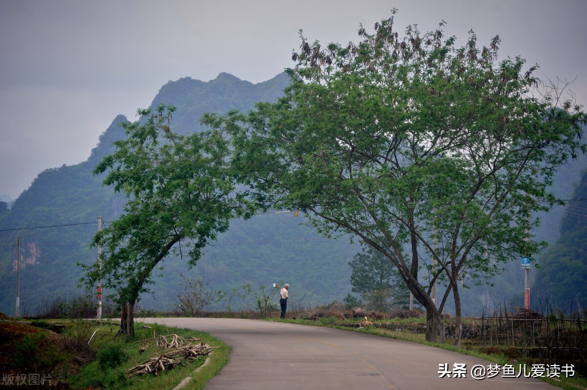 和清明节有关的诗有哪些（清明古诗全解诗意）