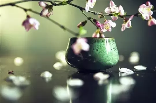 关于茶的诗句意境优美（品茶赏雪的诗句 ）