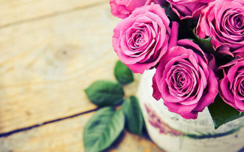 讽刺那没脑子的人句子（讽刺别人的经典语录）