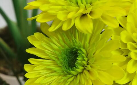 稻盛和夫100经典语录（稻盛和夫的人生感悟）