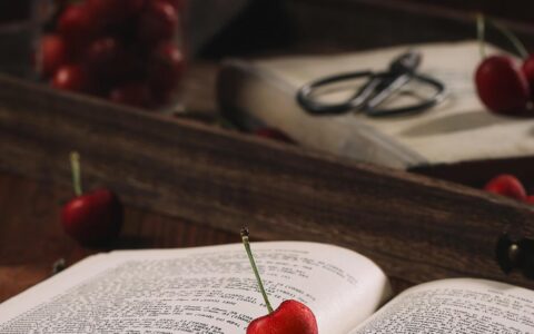 关于读书的名人名言大全摘抄（名人名言简短100句）