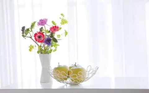 夜静春山空的意思（鸟鸣涧全诗赏析）