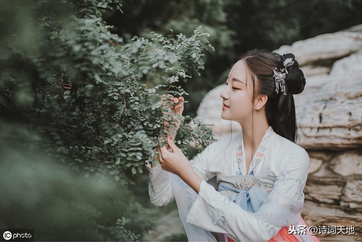 关于美的诗句有哪些（对美的赞美的诗句）