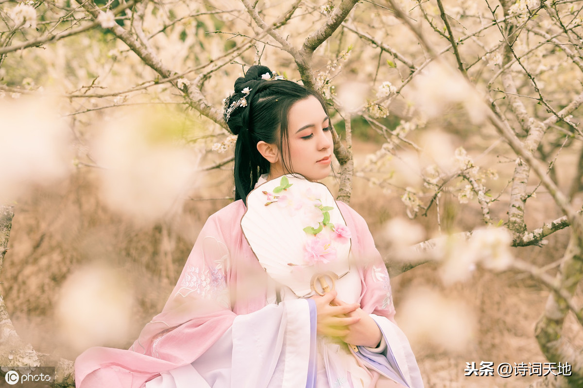 关于美的诗句有哪些（对美的赞美的诗句）
