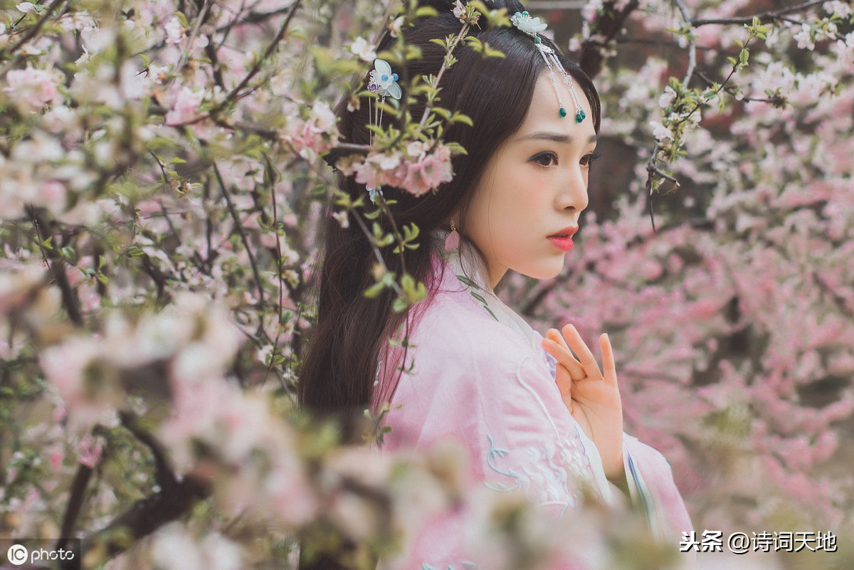 关于美的诗句有哪些（对美的赞美的诗句）
