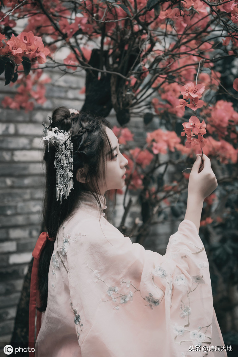 关于美的诗句有哪些（对美的赞美的诗句）