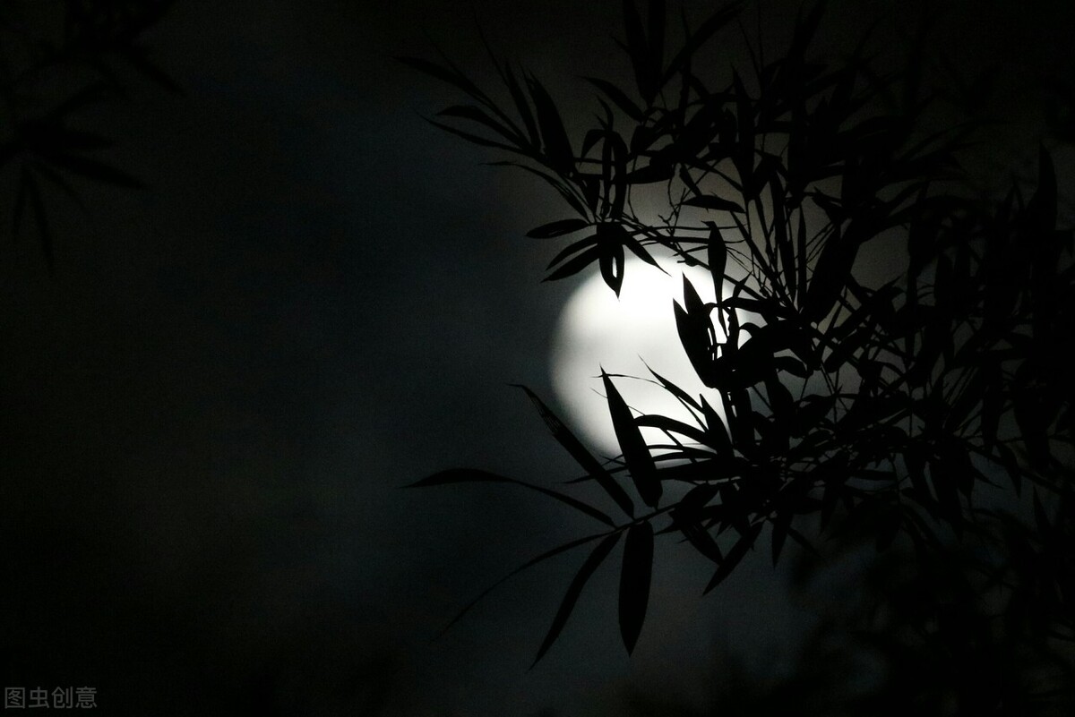 秋宵月下有怀孟浩然（秋宵月下有怀的诗句的意思）