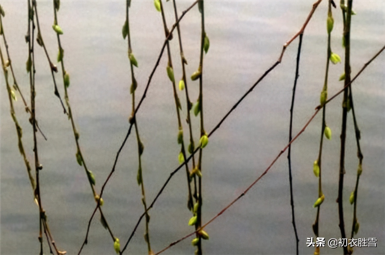 早春的古诗有哪些（描写早春的5首著名古诗）