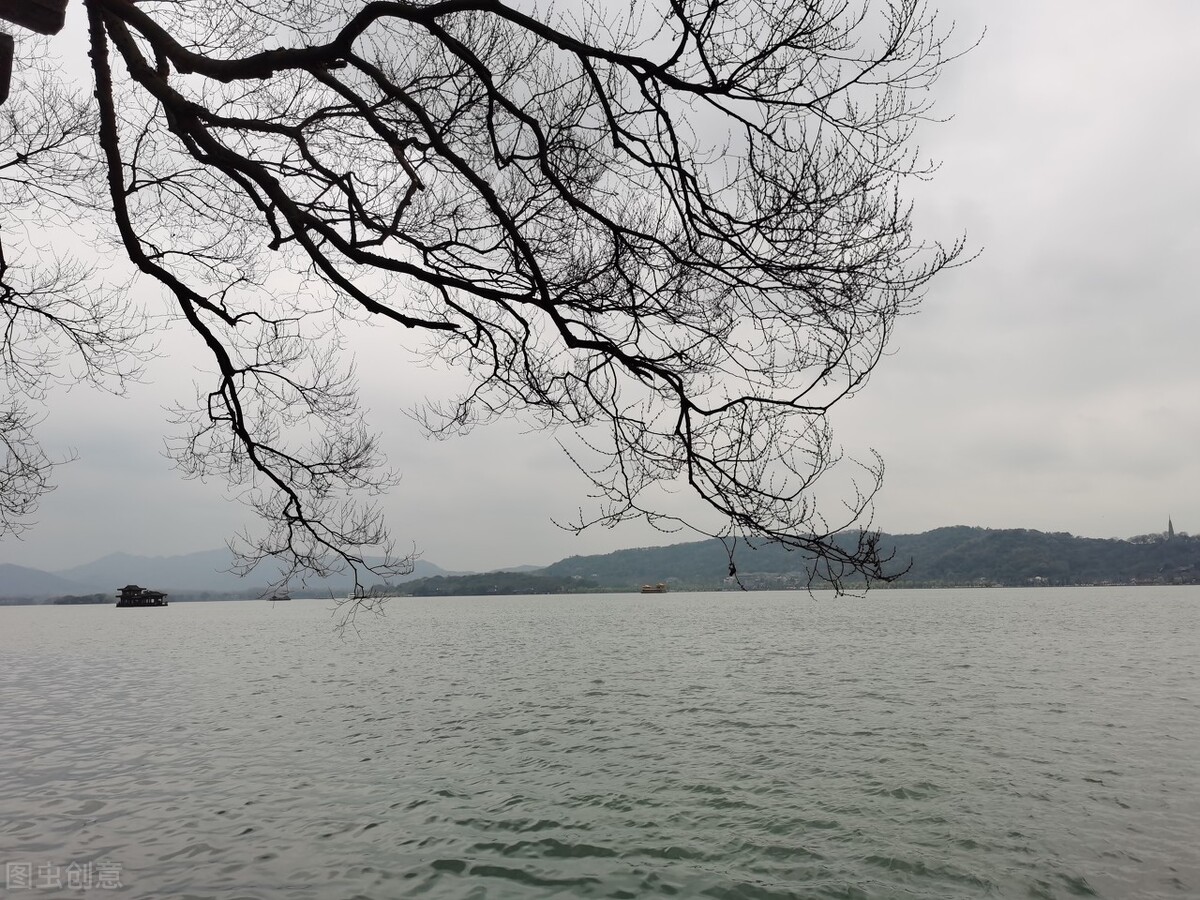 惊起沙禽掠岸飞全诗（采桑子古诗赏析）