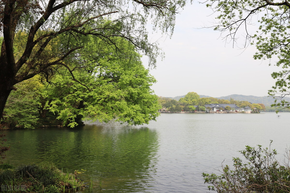 惊起沙禽掠岸飞全诗（采桑子古诗赏析）