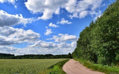 励志的语言激励自己人生（激励的人生格言短句）