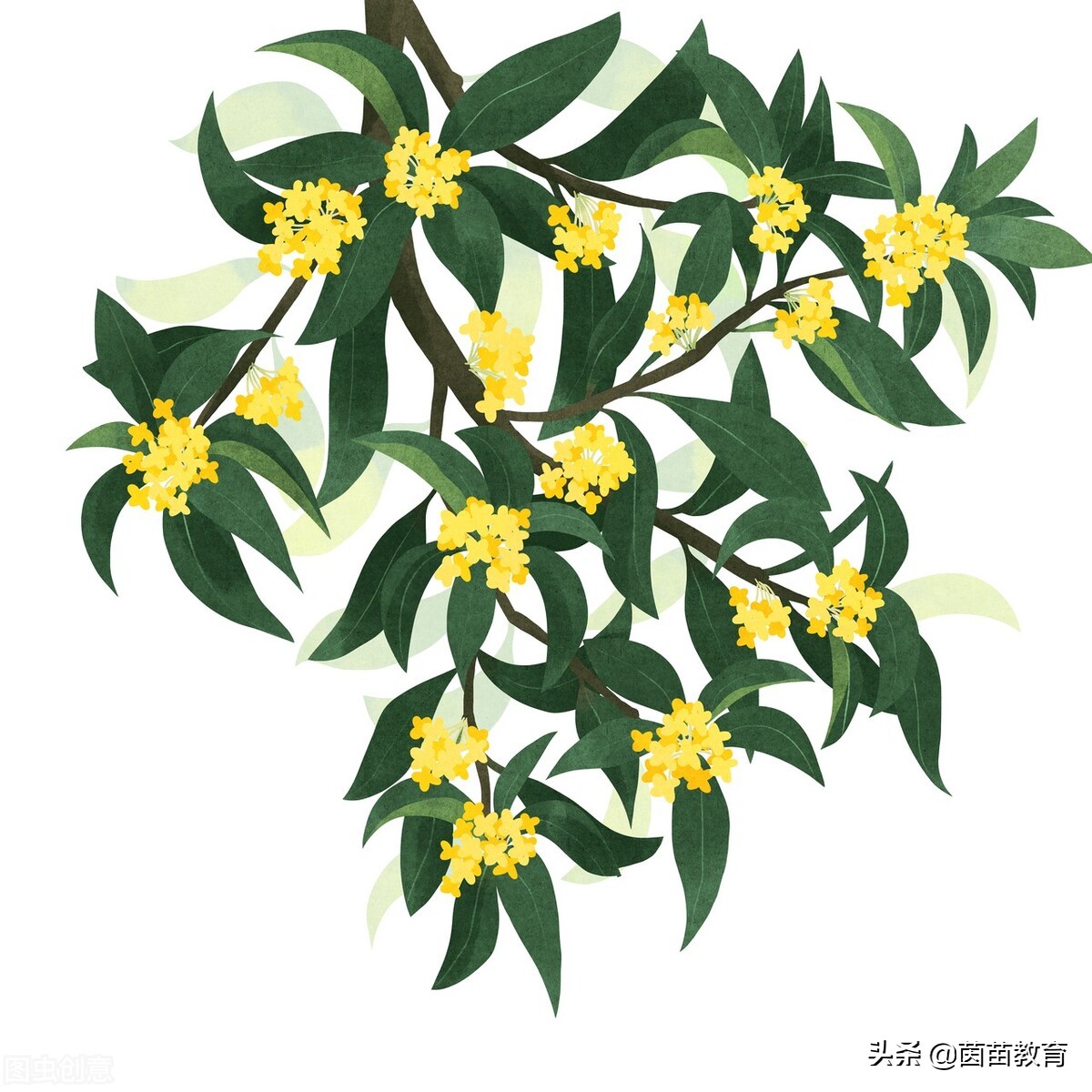 关于中秋节的好词好句（赞美中秋节的好词好句）