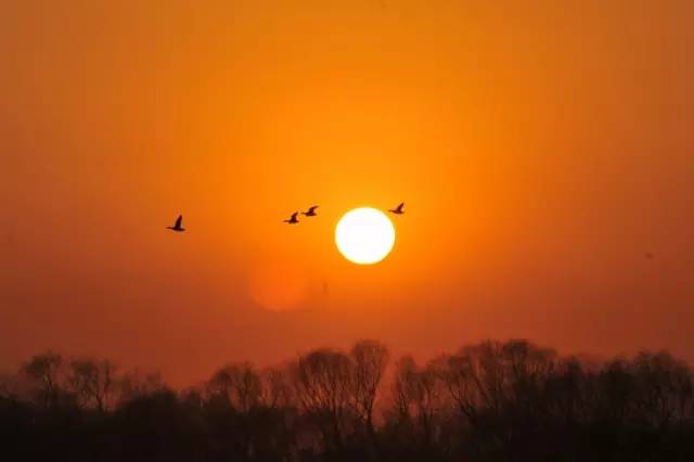 朱自清匆匆原文阅读（关于匆匆全文欣赏）