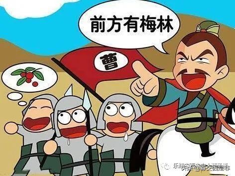 望梅止渴文言文翻译（望梅止渴的故事原文）