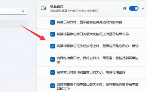 windows11窗口布局不能用怎么办 windows11窗口布局不能用解决方法