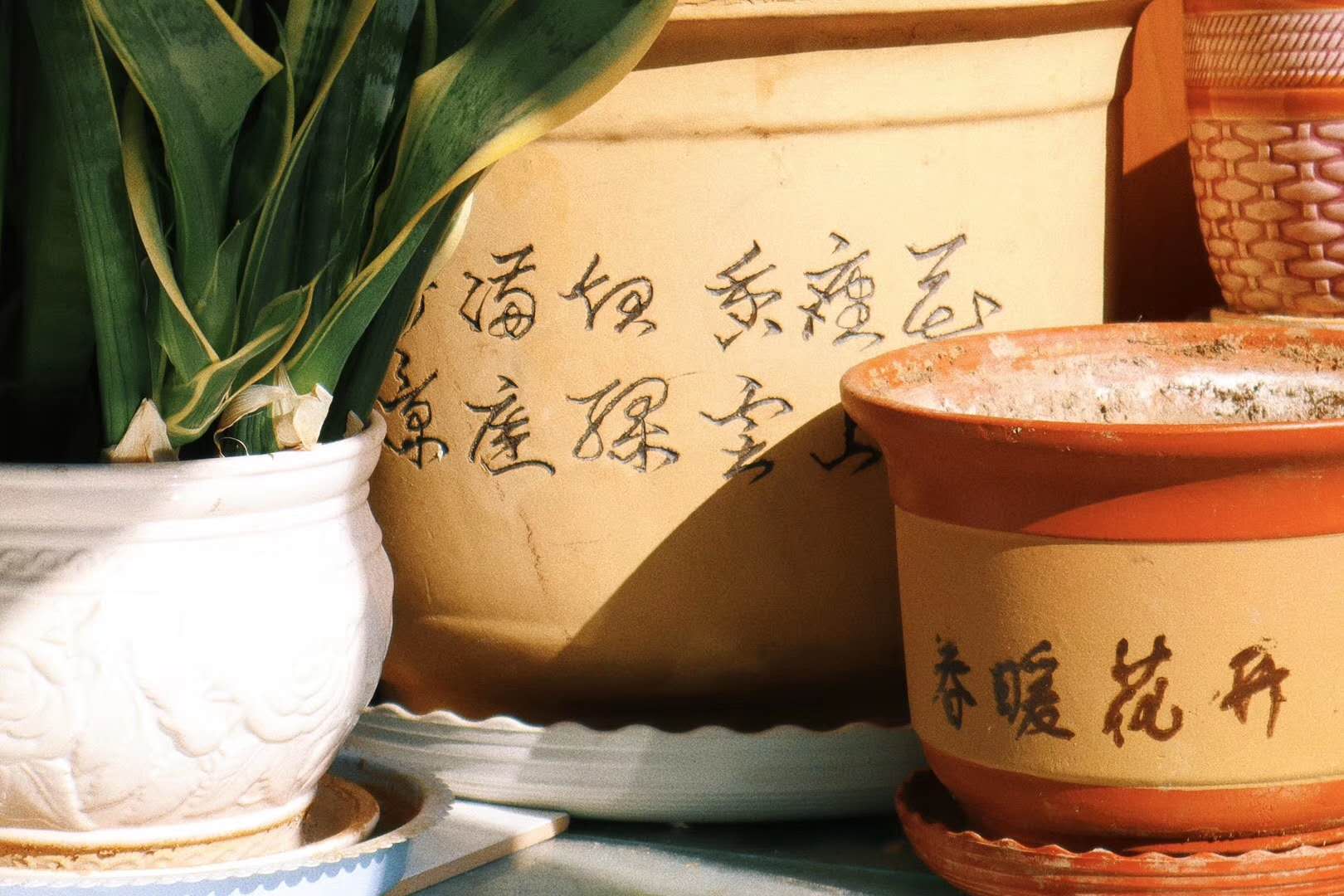 村居的诗意详解（村居的诗意和赏析）