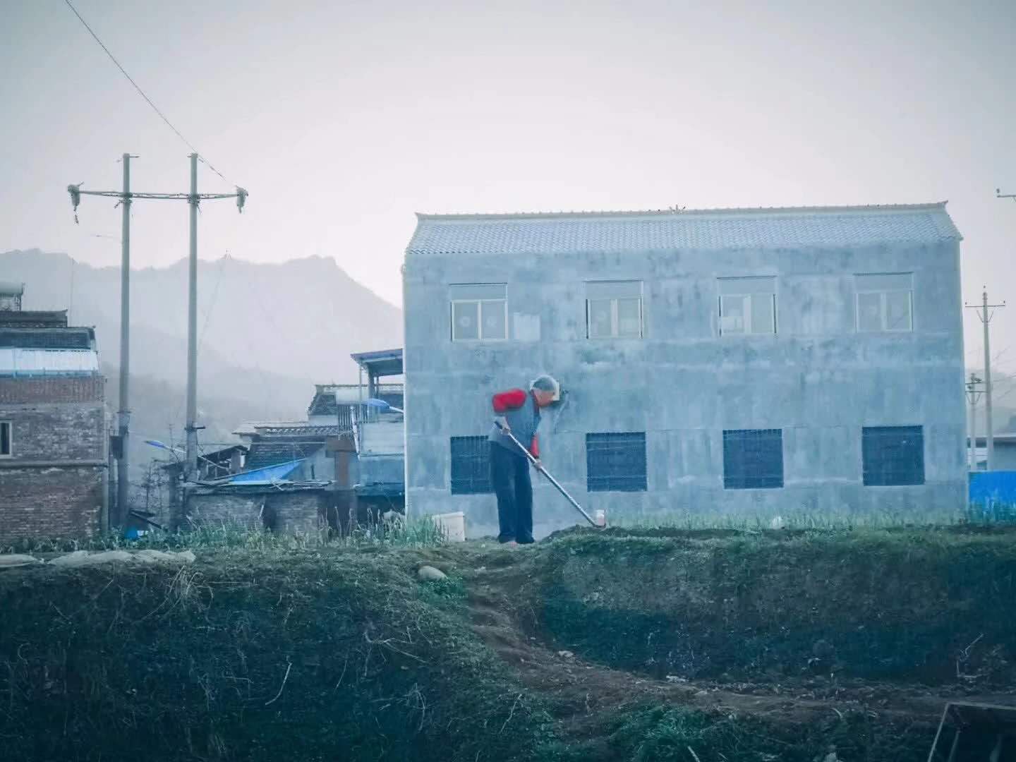 村居的诗意详解（村居的诗意和赏析）