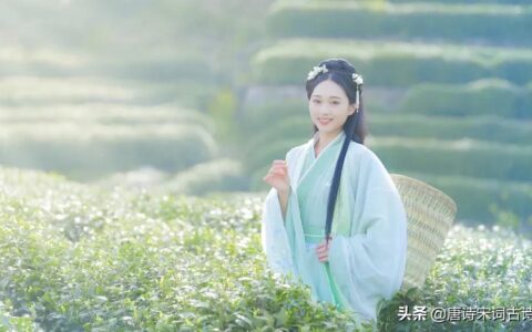 寒夜杜耒翻译（寒夜古诗杜耒翻译赏析）