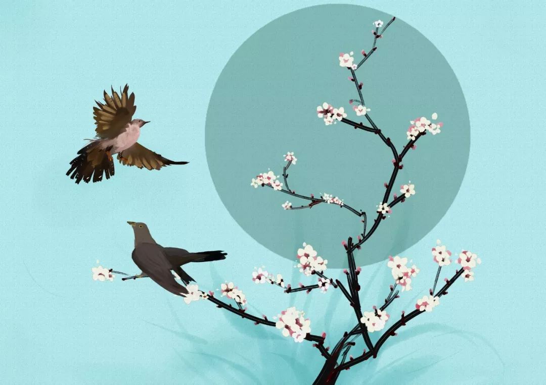 关于杏花的诗句唯美（有关杏花的经典佳句）