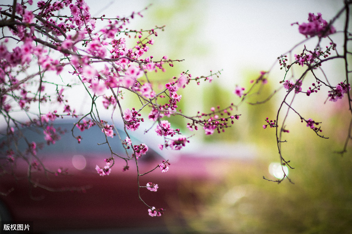 风烟俱净出自哪里（风烟俱净,天山共色的翻译赏析）