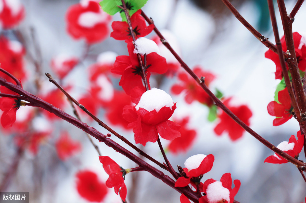 风烟俱净出自哪里（风烟俱净,天山共色的翻译赏析）
