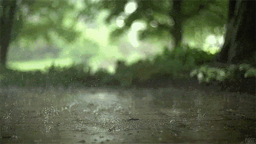下雨天的诗句有哪些（下雨天意境很美的诗句）