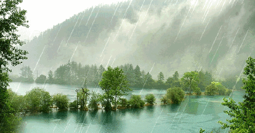 下雨天的诗句有哪些（下雨天意境很美的诗句）