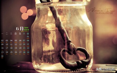 有关青春的句子（描写青春的句子）