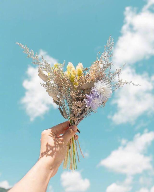 正面积极阳光向上的句子（努力奋斗向上的正能量语录）