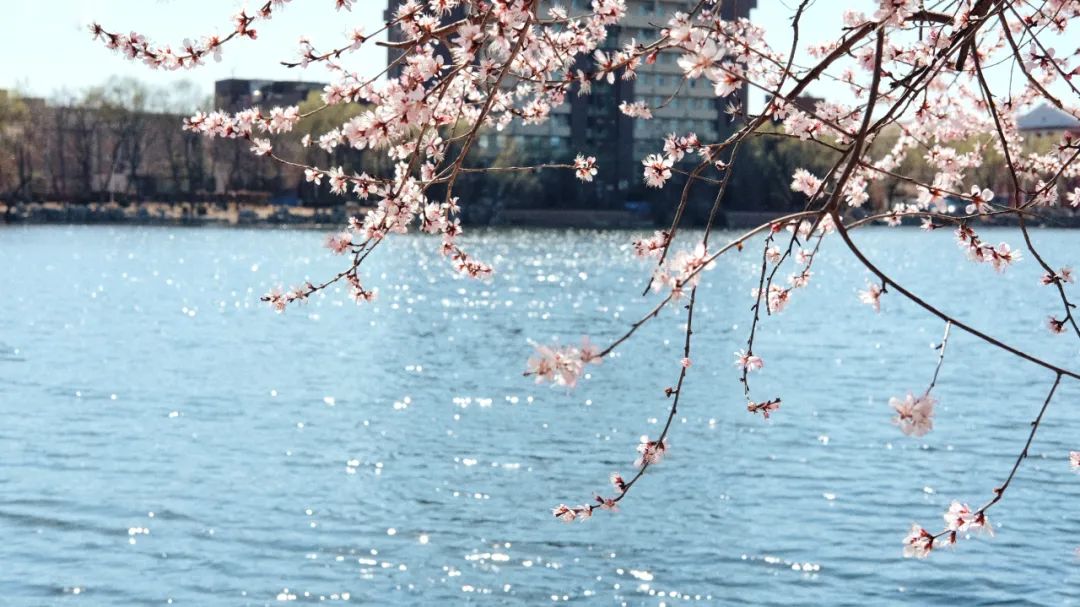 写春天的词有哪些（描写春天的宋词）
