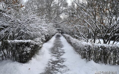 呼兰河传读书笔记摘抄及感悟（细读呼兰河传读后感）