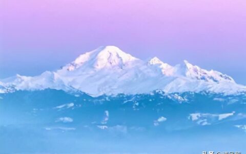 感恩老师最暖心句子（感谢老师的用心和付出）