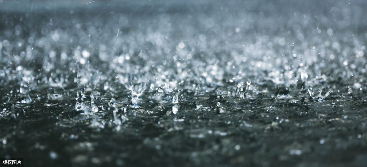 诗雨出自哪首诗（关于描写诗雨的诗句）