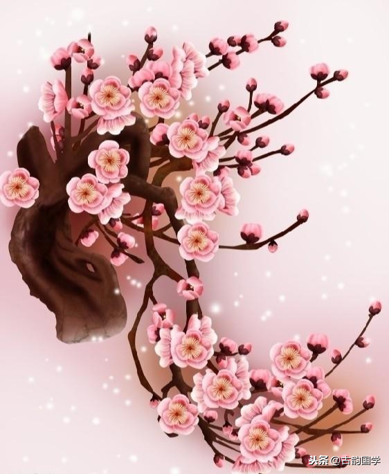 关于梅花的古诗全首及作者介绍（赞美梅花的诗有哪些）