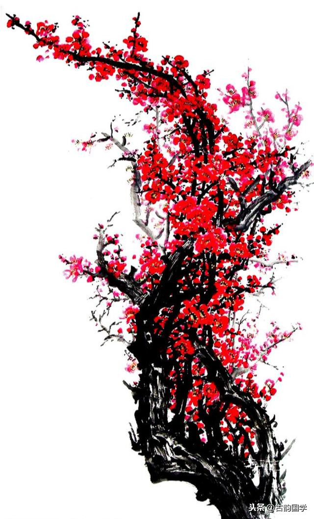关于梅花的古诗全首及作者介绍（赞美梅花的诗有哪些）