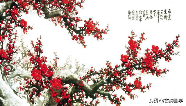 关于梅花的古诗全首及作者介绍（赞美梅花的诗有哪些）