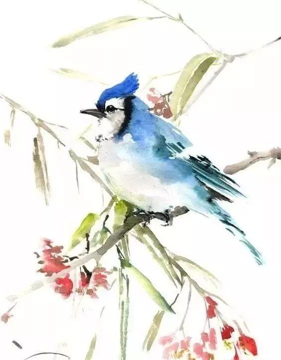 描写景物的句子摘抄（优美的写景句子分享）