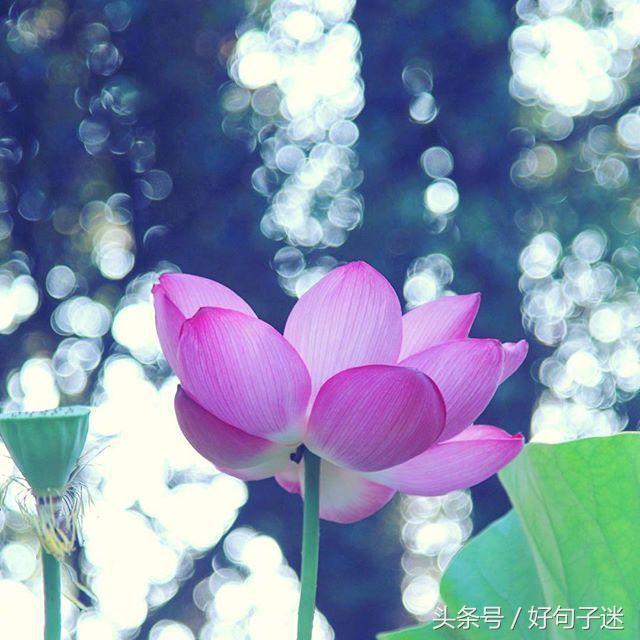 一句佛语点透人生（经典正能量修心的句子）