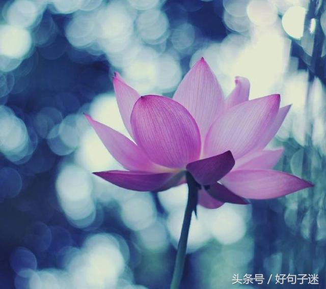 一句佛语点透人生（经典正能量修心的句子）