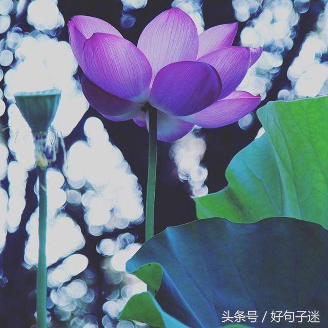 一句佛语点透人生（经典正能量修心的句子）